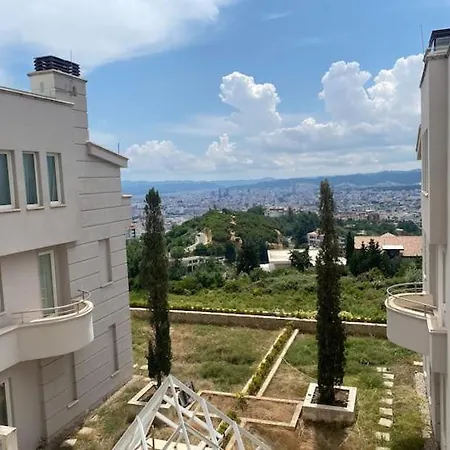 View *